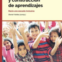 Diversidad y Construcción de Aprendizajes. Hacia una Escuela Inclusiva